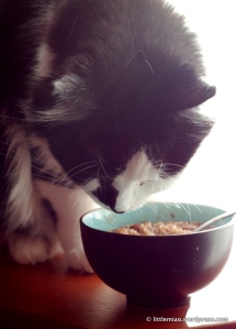 Sprocket was initially intrigued by the congee but upon closer inspection he found it to be offensive.